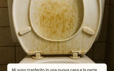 Sedile del WC con macchie giallo-marroni: perché si formano e come elimina