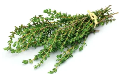 La pianta medicinale più potente che dovresti conoscere 🌿 👇👇👇