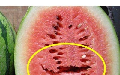 Hai tagliato un’anguria e hai notato delle crepe? Smetti di mangiarla immediatamente! Ecco cosa significa!