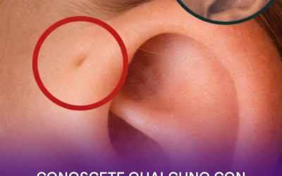 Il piccolo foro vicino all’orecchio: un indizio del nostro passato evolutivo?