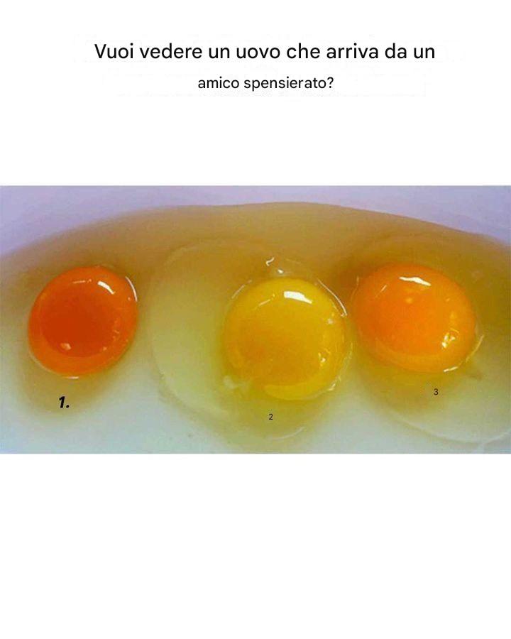 Il colore del tuorlo dipende dalla provenienza dell’uovo
