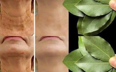 Il testo presenta le foglie di alloro come un rimedio antirughe molto efficace,