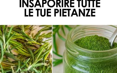 Come Preparare la Polvere di Rosmarino: Una Guida Passo Passo per un Ingredienti Naturale e Benefico