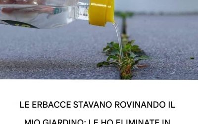 Rimedi naturali ed economici per eliminare le erbacce e ottenere un giardino perfetto e senza infestanti.