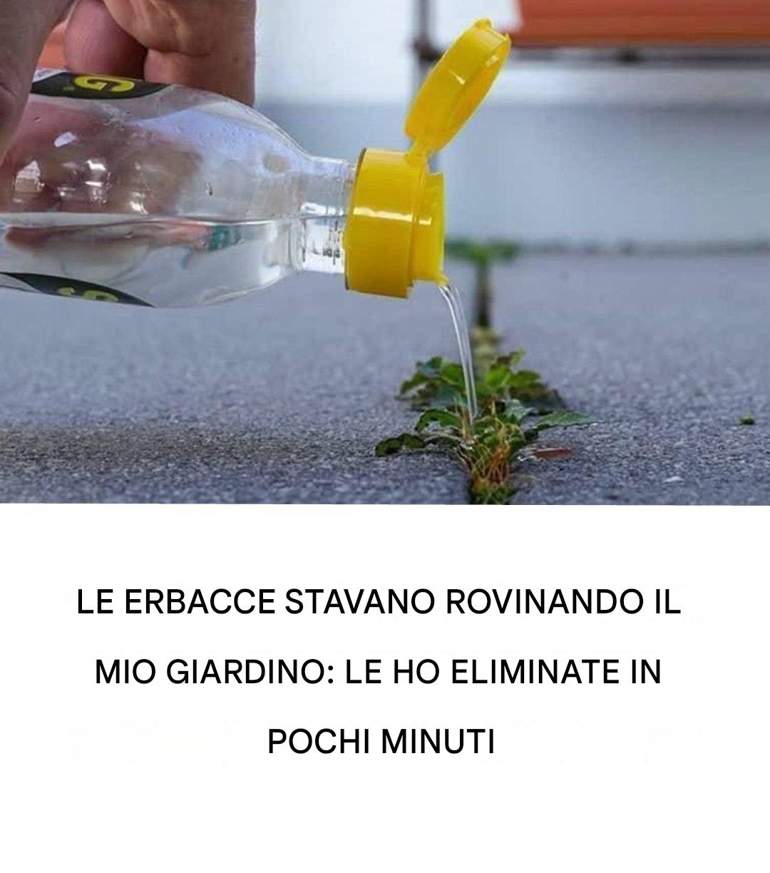 Rimedi naturali ed economici per eliminare le erbacce e ottenere un giardino perfetto e senza infestanti.